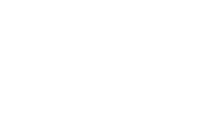 DOJO SYSTEM